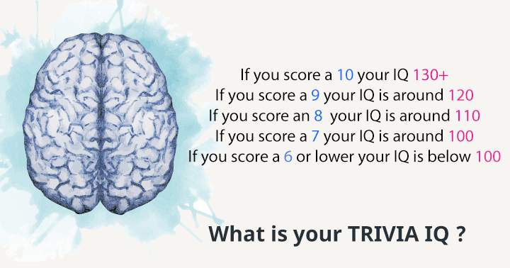 Test your Trivia IQ now!