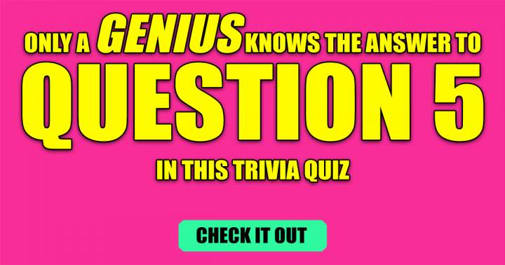 Quiz on general knowledge.