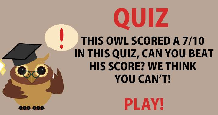 Is it possible for you to defeat the owl?