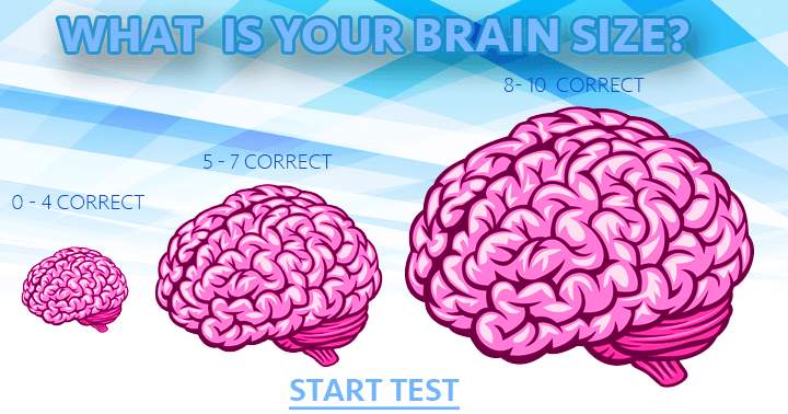 What is the size of your brain?