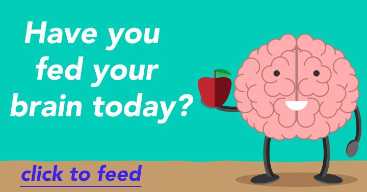 Did you nourish your brain today?