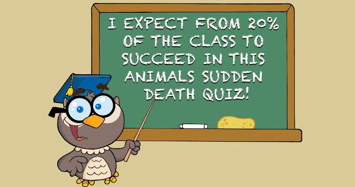 Will you be able to answer all 15 questions flawlessly?