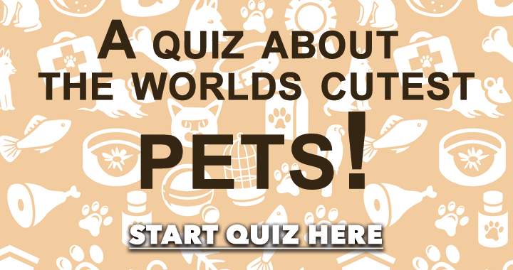 Quiz for the Most Adorable Pets