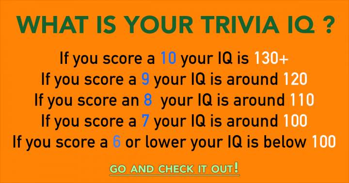 What is your knowledge level in trivia?