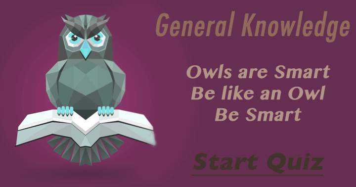 Emulate the wisdom of an Owl by being smart.