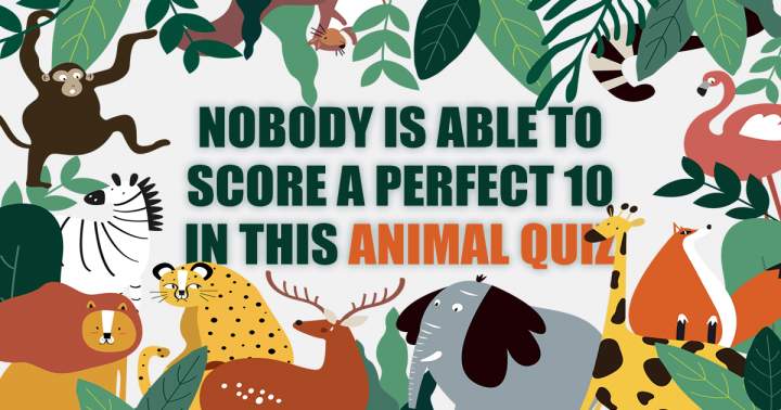 Quiz about Animals