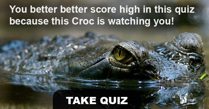 If you like animals, this quiz is perfect for you.