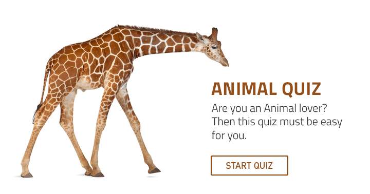 Those who love animals will find this quiz enjoyable.