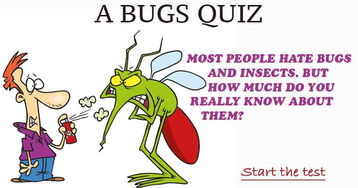 Many dislike bugs and insects, yet how well do you truly understand these creatures?