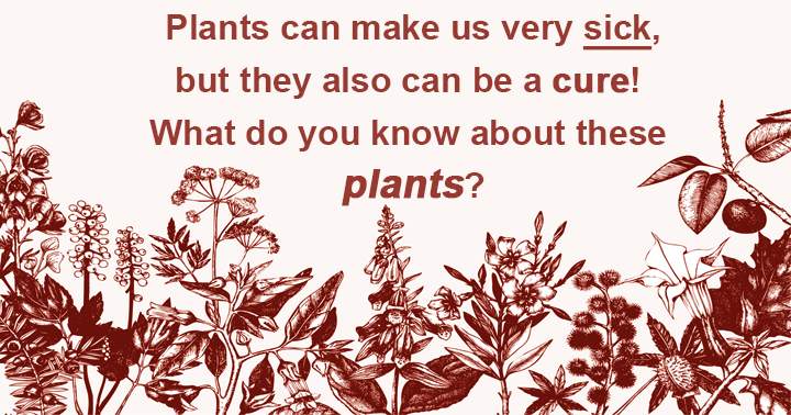 While plants have the potential to cause illness, they can also serve as remedies! What is your knowledge of these plants?