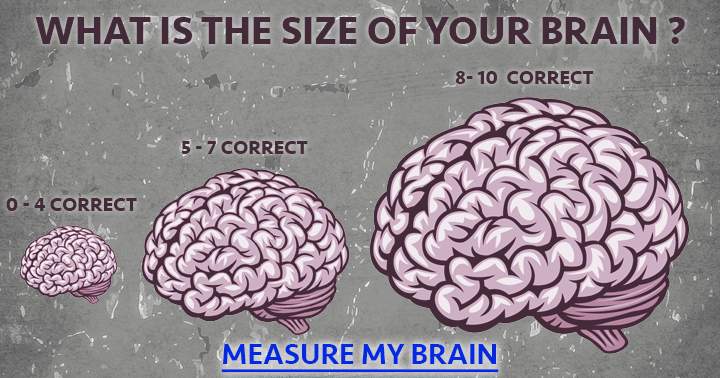 Brain size does matter