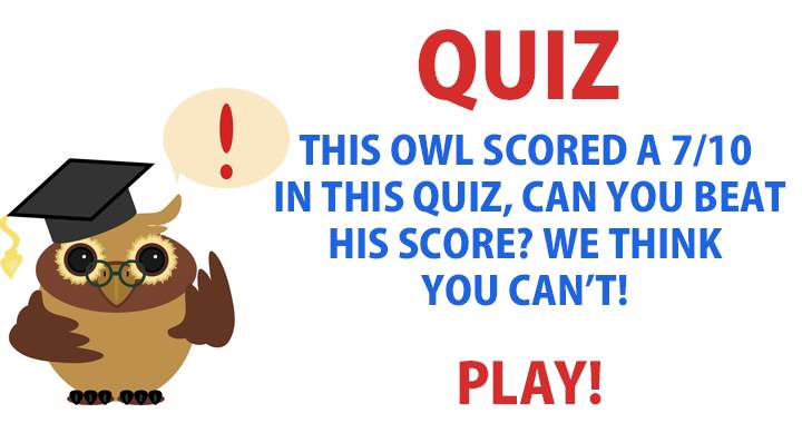 Are you smarter than an owl?