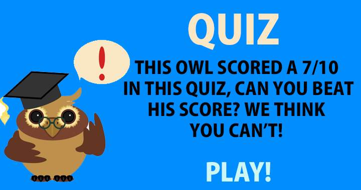 Can you beat the Owl?