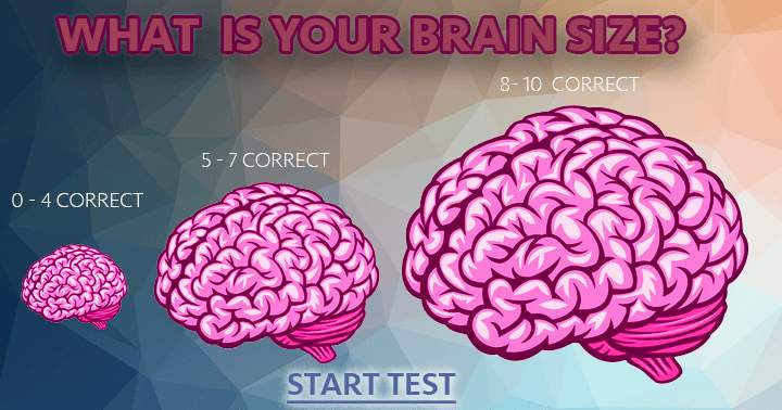 What is your brain size?